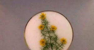 Aperitivo de navidad