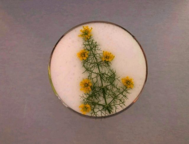 Aperitivo de navidad