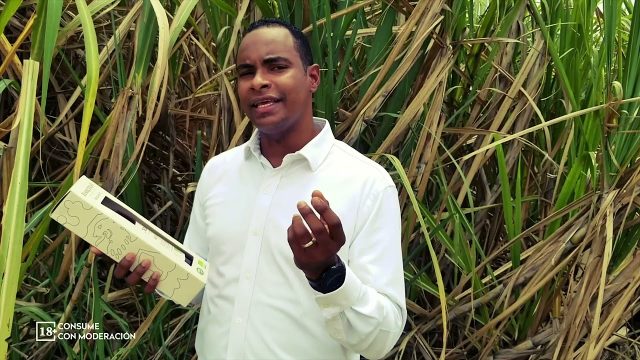 Otto Flores presenta Barceló Organic