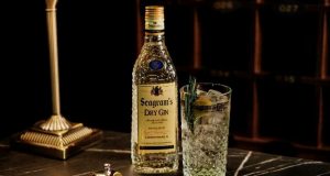 HOTEL SEAGRAM´S, LO MEJOR DE NUEVA YORK EN MADRID