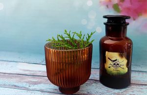 Dame un Pisco Vanessa