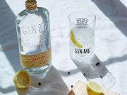 Día internacional de la Ginebra