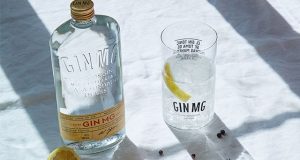 Día internacional de la Ginebra