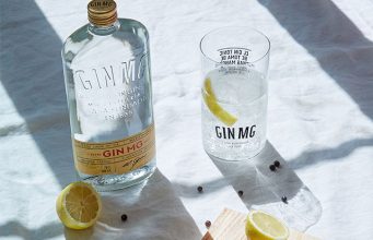 Día internacional de la Ginebra