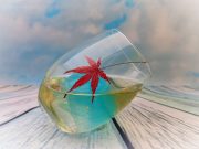 El bar es el mejor lugar para narrar historias