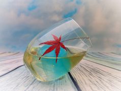 El bar es el mejor lugar para narrar historias