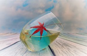 El bar es el mejor lugar para narrar historias