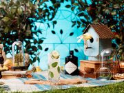 Refréscate este verano con cócteles de pepino y Hendrick’s Gin