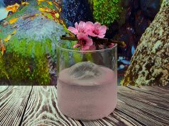 Sakura es una pequeña historia de amor entre continentes