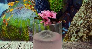 Sakura es una pequeña historia de amor entre continentes