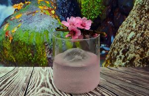 Sakura es una pequeña historia de amor entre continentes