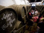 SHERRYMASTER 2022 BY TÍO PEPE