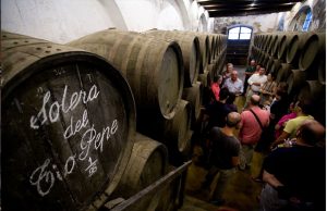 SHERRYMASTER 2022 BY TÍO PEPE