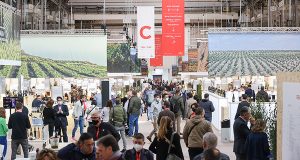 Barcelona Wine Week 2023 pondrá en valor la riqueza y diversidad del vino español Barcelona Wine Week | Discover the best vintage of Spanish wine