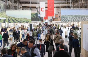 Barcelona Wine Week 2023 pondrá en valor la riqueza y diversidad del vino español Barcelona Wine Week | Discover the best vintage of Spanish wine