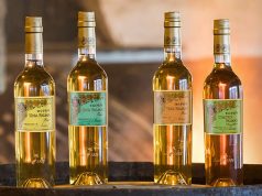 COLECCIÓN TÍO PEPE FINOS PALMAS 2022: LA SELECCIÓN DE LA RESILIENCIA