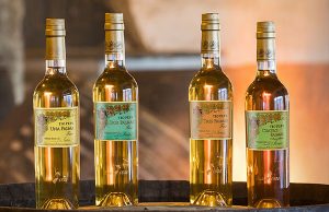 COLECCIÓN TÍO PEPE FINOS PALMAS 2022: LA SELECCIÓN DE LA RESILIENCIA