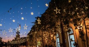 Veranea en la bodega