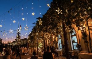 Veranea en la bodega
