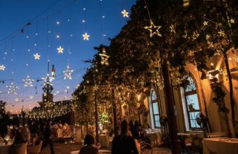 Veranea en la bodega