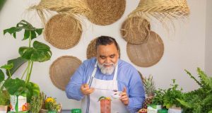 La coctelería con Stevia sigue sumando año tras año. Coctelería con Stevia