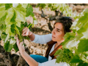 Ysios presenta su colección Avant-Garde Clara Canals