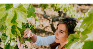 Ysios presenta su colección Avant-Garde Clara Canals