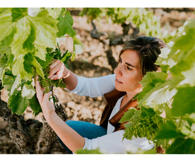 Ysios presenta su colección Avant-Garde Clara Canals