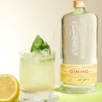 cocteles_gin_mg