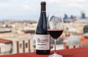 MALABRIGO 2019: JOSÉ MORO TOCA EL CIELO CON SU VINO DE ALTURA