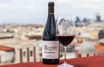 MALABRIGO 2019: JOSÉ MORO TOCA EL CIELO CON SU VINO DE ALTURA