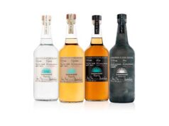 DÍA INTERNACIONAL DEL TEQUILA: LA MEJOR EXCUSA PARA BRINDAR CON LOS TUYOS