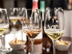 BODEGAS NOC PRESENTA SU VIOGNIER 2022: LA EXPLOSIÓN MÁS AROMÁTICA E INTENSA DE LA UVA FETICHE DE LA BODEGA