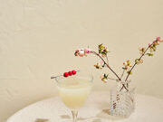 Cointreau revela sus secretos para ser el mejor anfitrión estas navidades