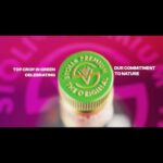 17941959509772299_brandtenders.news_