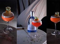 SORPRENDE EN SAN VALENTÍN ELABORANDO EL CÓCTEL MÁS ROMÁNTICO CON GIN MARE