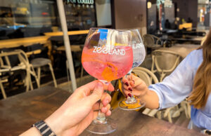 EL TURISMO VALENCIANO REVIVE POR GIN ZEELAND