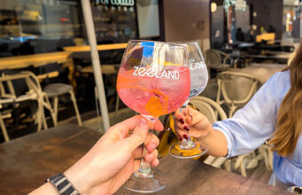 EL TURISMO VALENCIANO REVIVE POR GIN ZEELAND