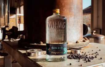 Gin MG desvela sus cócteles más exclusivos de la edición especial con Bar Paradiso
