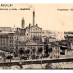 elaguila_cartuchop