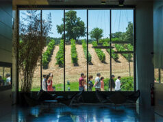 BODEGAS CEPA 21 SE CONVIERTE EN EL MEJOR BALCÓN DE LA RIBERA DEL DUERO