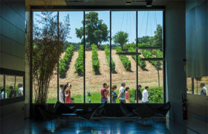 BODEGAS CEPA 21 SE CONVIERTE EN EL MEJOR BALCÓN DE LA RIBERA DEL DUERO