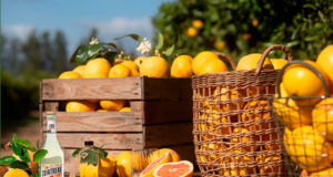 Cointreau lanza “Cointreau Citrus Series”.