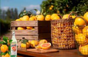 Cointreau lanza “Cointreau Citrus Series”.