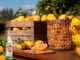 Cointreau lanza “Cointreau Citrus Series”.