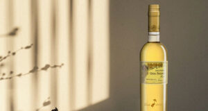 COLECCIÓN TÍO PEPE FINOS PALMAS.