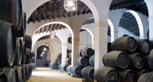 NOÉ VORS Y LEPANTO O.V., ENTRE LOS MEJORES VINOS DEL AÑO