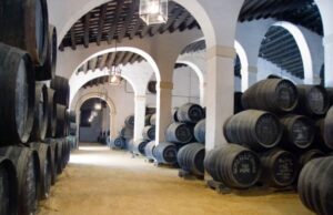 NOÉ VORS Y LEPANTO O.V., ENTRE LOS MEJORES VINOS DEL AÑO