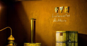 GONZÁLEZ BYASS SE ALIA CON DESTILERÍA LOS DANZANTES