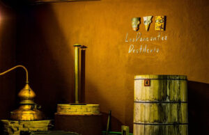 GONZÁLEZ BYASS SE ALIA CON DESTILERÍA LOS DANZANTES